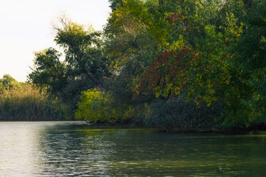 Similar image 10049419