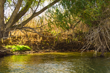 Similar image 10049420