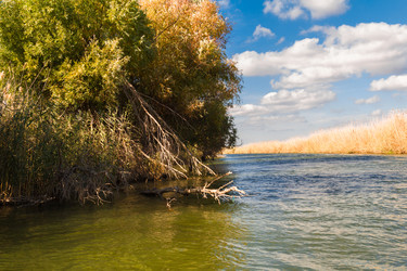 Similar image 10049421