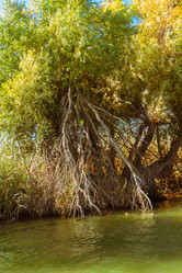 Similar image 10049422