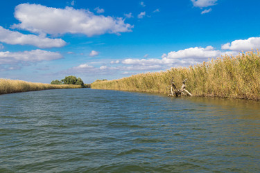 Similar image 10049424