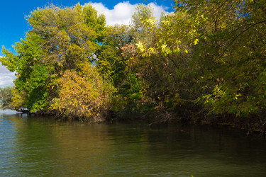 Similar image 10049425