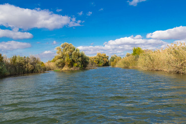 Similar image 10049426