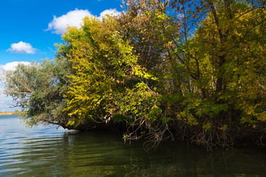 Similar image 10049427