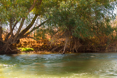 Similar image 10049428