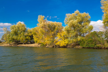 Similar image 10049429