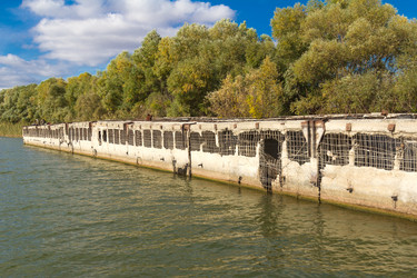 Similar image 10049430