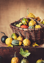 Similar image 10049476