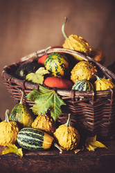 Similar image 10049477