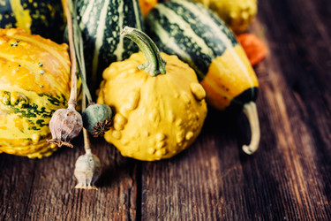 Similar image 10049484