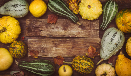 Similar image 10049493