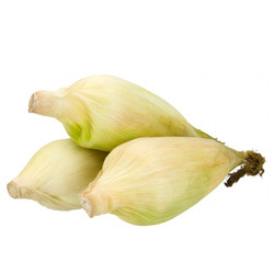 Similar image 10049537