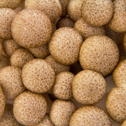 Similar image 10049547