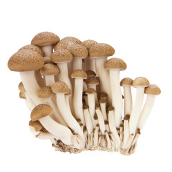 Similar image 10049549