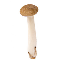 Similar image 10049550