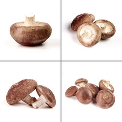 Similar image 10049551