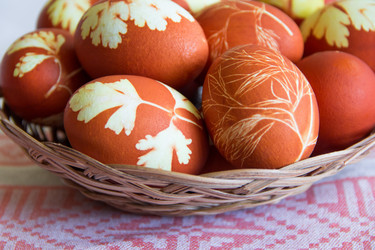 Similar image 10049683