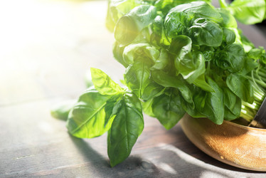 Similar image 10049726