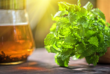 Similar image 10049732