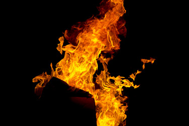 Similar image 10049748