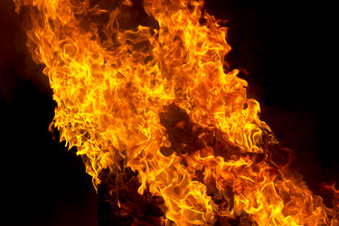 Similar image 10049749