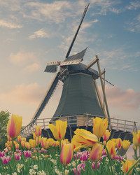 Similar image 10049836