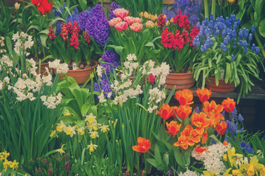 Similar image 10049837