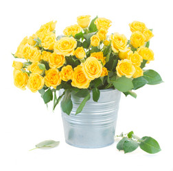 Similar image 10049855