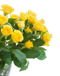 Similar image 10049856