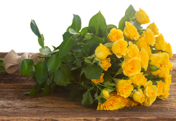 Similar image 10049858