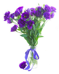 Similar image 10049881