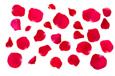 Similar image 10049905