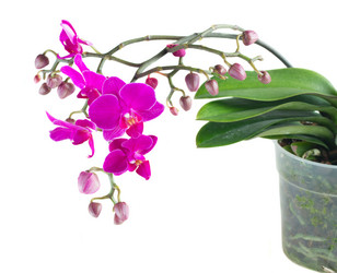 Similar image 10049908