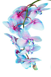 Similar image 10049912