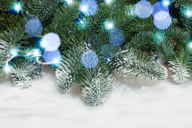 Similar image 10049920