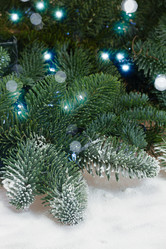 Similar image 10049921