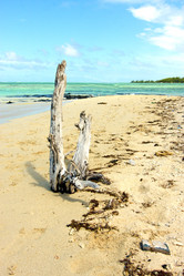 Similar image 10050008