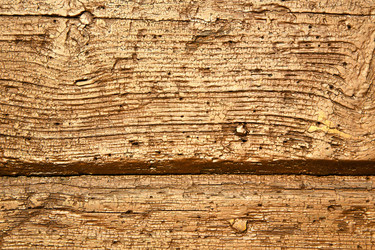 Similar image 10050009