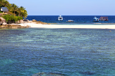 Similar image 10050010