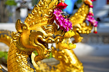 Similar image 10050013