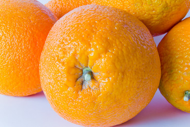 Similar image 10050158