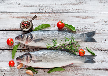 Similar image 10050286