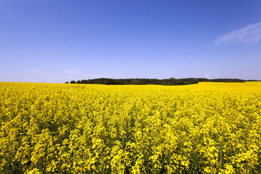 Similar image 10050349