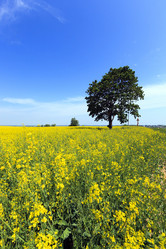 Similar image 10050353