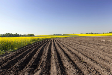 Similar image 10050467