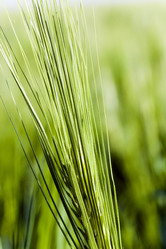 Similar image 10050473