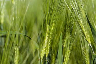 Similar image 10050482