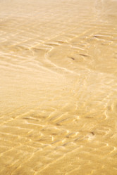 Similar image 10050674