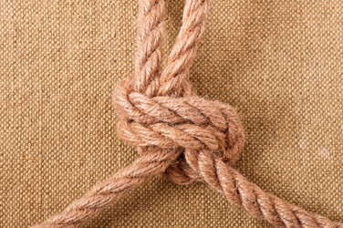 Similar image 10050783