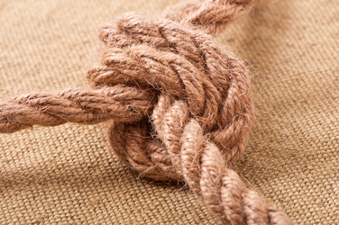 Similar image 10050785